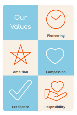 Values icon